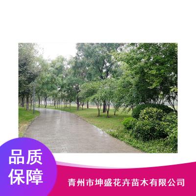 【园林绿化设计】_园林绿化设计优质供应商推荐 - 中国供应商